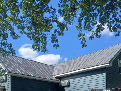Gray roof under tree